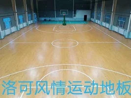 psc.webp (4).jpg